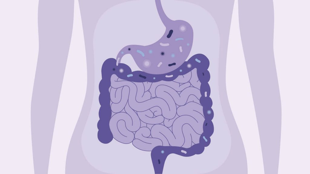 Connexions intestinales avec le cancer