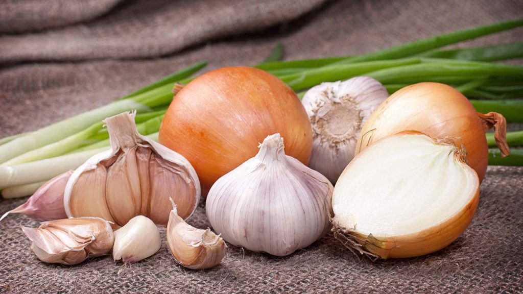 This image has an empty alt attribute; its file name is Allium-vegetables-1024x576.jpg