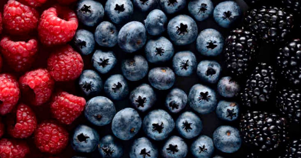 This image has an empty alt attribute; its file name is reasons-to-eat-berries-1200x628-facebook-1200x628-1-1024x536.jpg