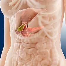 SYMPTOMS OF BILE DUCT CANCER