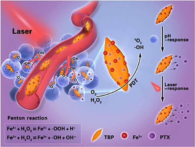 Photodynamic Therapy