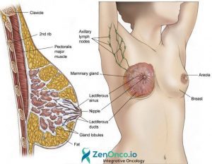 Coping with Inflammatory Breast Cancer Treatments