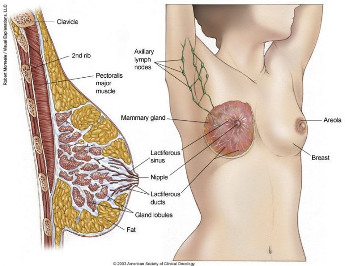 Inflammatory Breast Cancer resources