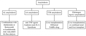Treatments of Amyloidosis