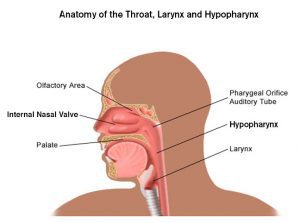 Laryngeal And Hypopharyngeal Cancer