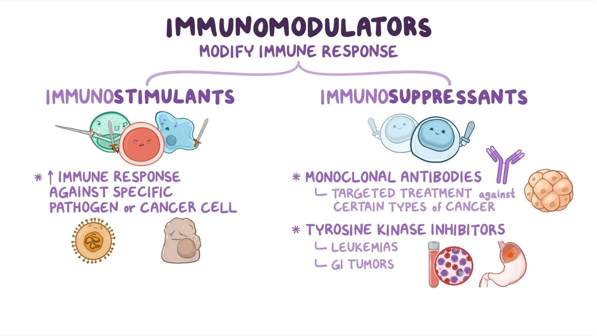 Immunomodulators and Their Side Effects